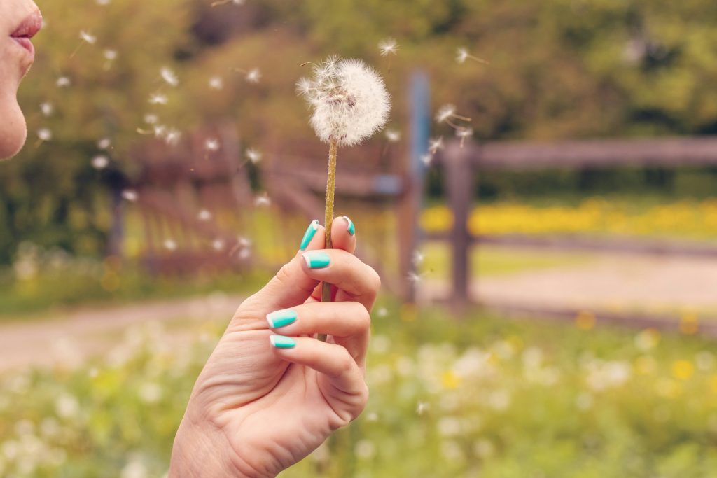 hay fever relief, home remedies for hay fever. hay fever prevention
